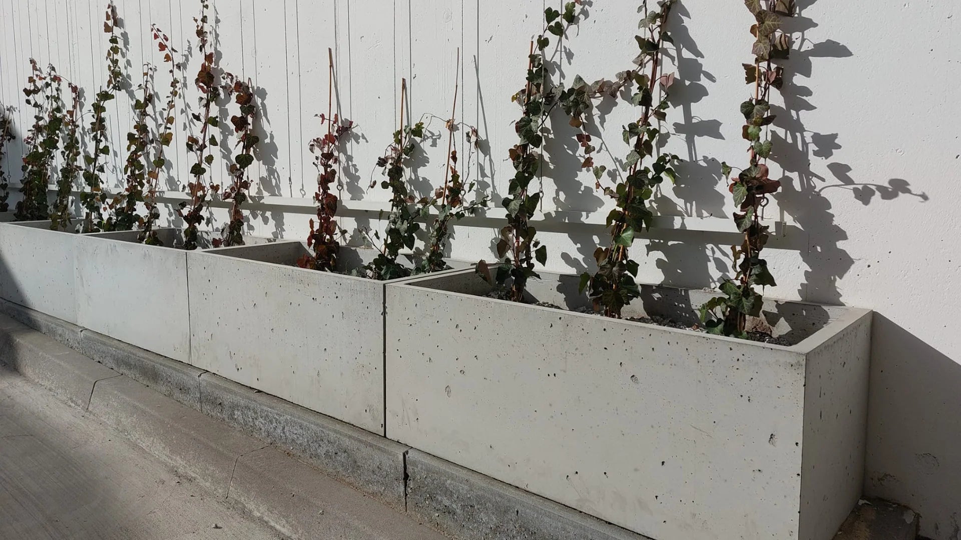 Outdoor Concrete Planters in front of the white wall outside Decormania eu